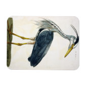 Het bord van de Heron (Ardea cinerea) uit 'The Bri Magneet (Horizontaal)
