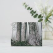 Het bos aanhalen briefkaart (Staand voorkant)