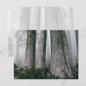 Het bos aanhalen briefkaart (Voorkant / Achterkant)
