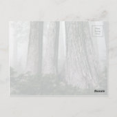 Het bos aanhalen briefkaart (Achterkant)