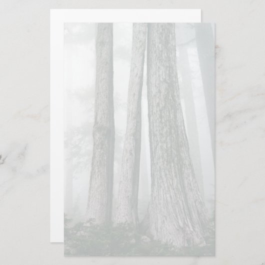 Het bos aanhalen briefpapier (Voorkant / Achterkant)