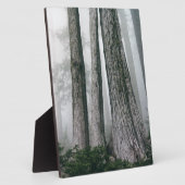 Het bos aanhalen fotoplaat (Zijkant)