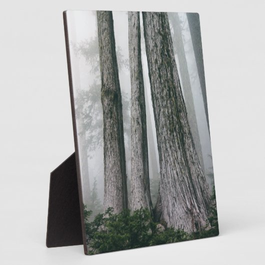 Het bos aanhalen fotoplaat (Zijkant)