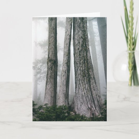 Het bos aanhalen kaart (Voorkant)