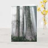 Het bos aanhalen kaart (Gele Bloem)