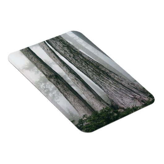 Het bos aanhalen magneet (Rechterzijde)