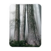 Het bos aanhalen magneet (Verticaal)