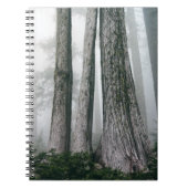 Het bos aanhalen notitieboek (Voorkant)