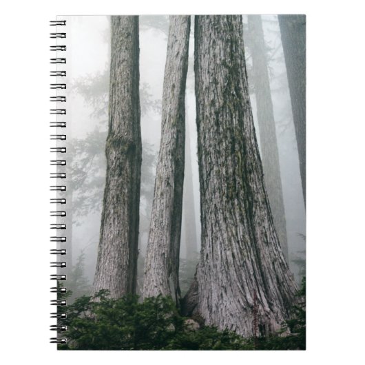 Het bos aanhalen notitieboek (Voorkant)