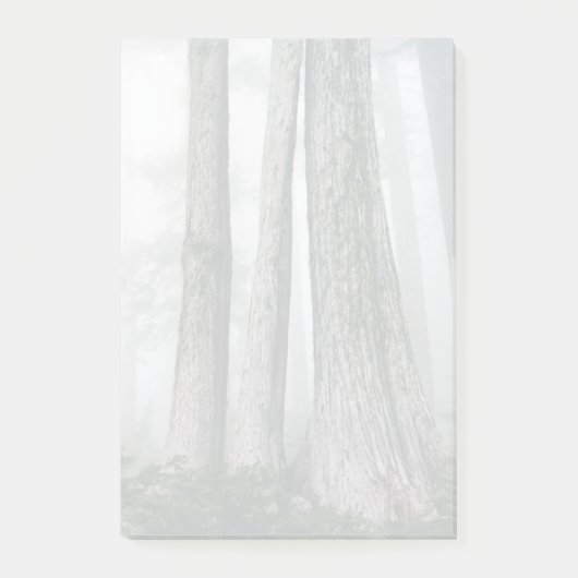 Het bos aanhalen post-it® notes (Voorkant)