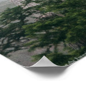 Het bos aanhalen poster (Hoek)