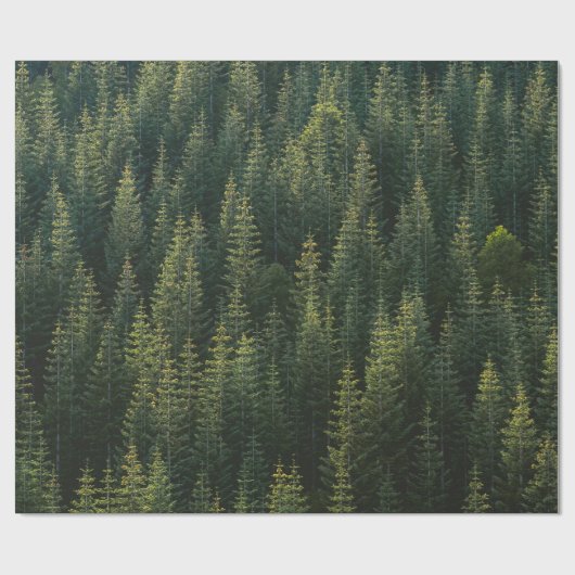 Het bos cadeaupapier (Vlak)