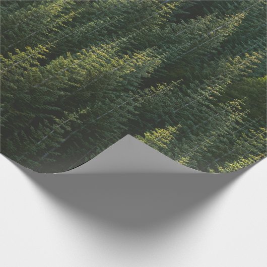 Het bos cadeaupapier (Hoek)