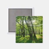 Het bos in de lente magneet (Voorkant / Achterkant)