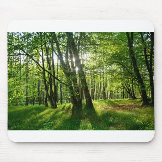 Het bos in de lente muismat (Voorkant)