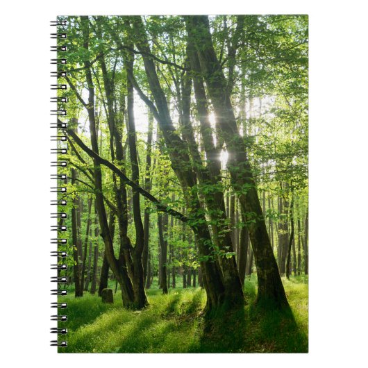 Het bos in de lente notitieboek (Voorkant)