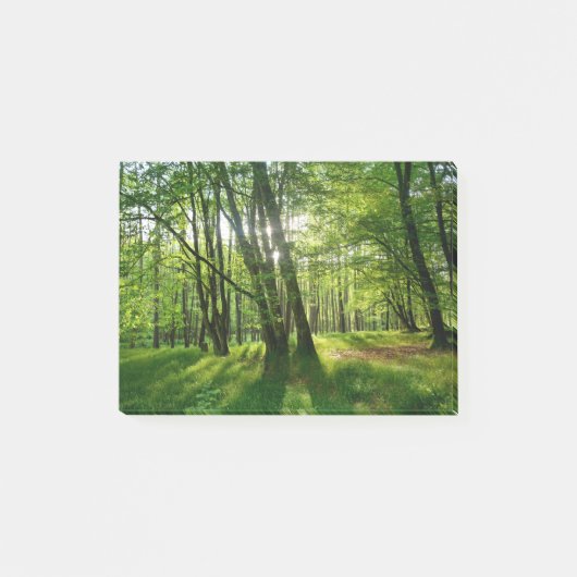 Het bos in de lente post-it® notes (Voorkant)
