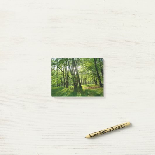 Het bos in de lente post-it® notes (Op bureau)