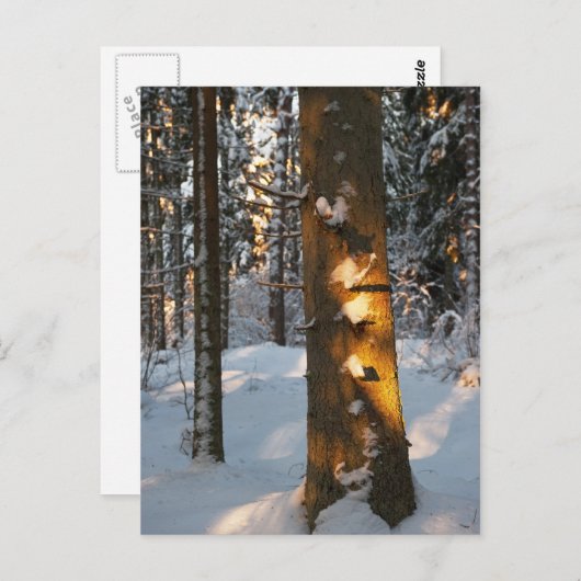 Het bos in de winter briefkaart (Voorkant / Achterkant)