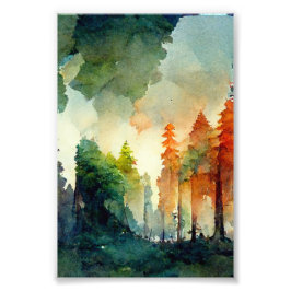 Het bos (natuur) foto afdruk