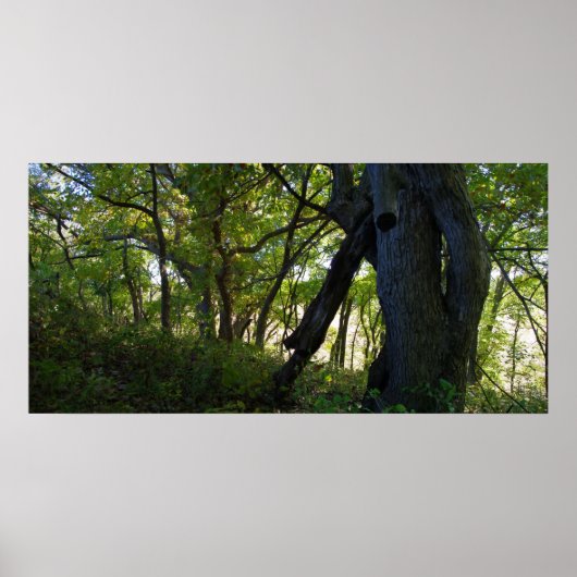 Het bos poster (Voorkant)