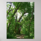 Het bos poster (Voorkant)