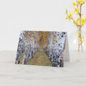 Het Bos van de Berk van Finland Kaart (Gele Bloem)