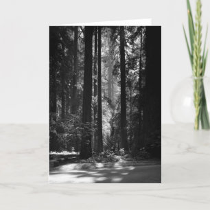 Het Bos van de Californische sequoia, het Bosje Kaart