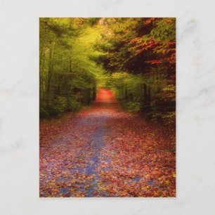 Het Bos van de nauwe vallei Briefkaart