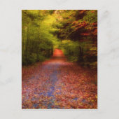 Het Bos van de nauwe vallei Briefkaart (Voorkant)