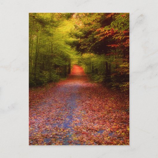 Het Bos van de nauwe vallei Briefkaart (Voorkant)