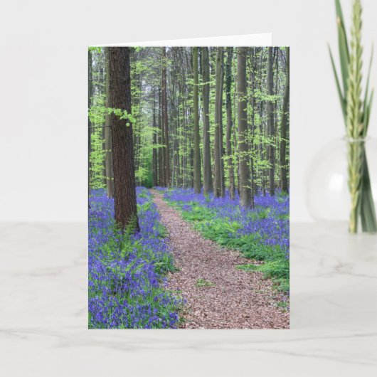 Het bos van Halle | Halle, België Kaart (Voorkant)