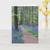 Het bos van Halle | Halle, België Kaart (Gele Bloem)