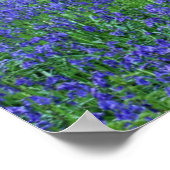 Het bos van Halle | Halle, België Poster (Hoek)