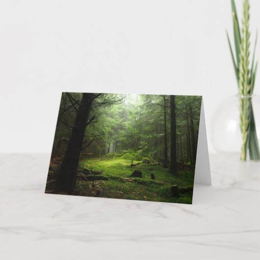 Het Bos van Sterious Kaart (Voorkant)