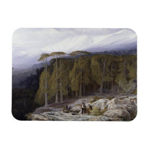 Het bos van Valdoniello, Corsica, 1869 (olie op c Magneet