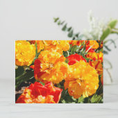 Het bos van vuur bloemen aankondiging (Staand voorkant)