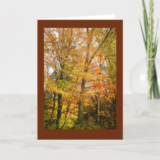 Het Bos van Wisconsin in Kaart van de Nota van de