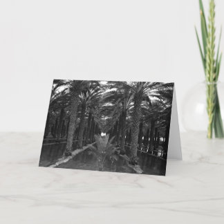 Het Bosje van de Dadelpalm tijdens Irrigatie, 1966 Kaart