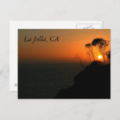 Het Bosje van de Eucalyptus van La Jolla Briefkaart (Voorkant / Achterkant)