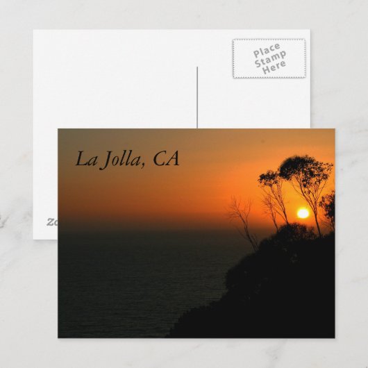 Het Bosje van de Eucalyptus van La Jolla Briefkaart (Voorkant / Achterkant)