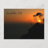 Het Bosje van de Eucalyptus van La Jolla Briefkaart (Voorkant)