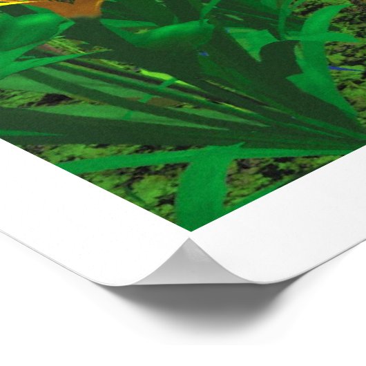 Het bospad poster (Hoek)