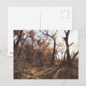 "Het Bosque Choir" Briefkaart (Voorkant / Achterkant)