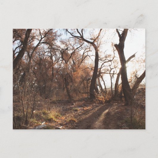 "Het Bosque Choir" Briefkaart (Voorkant)