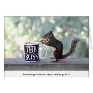 "Het Boss-eekhoorn"