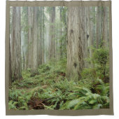 HET BOSTER DOUCHEGORDIJN (Voorkant)