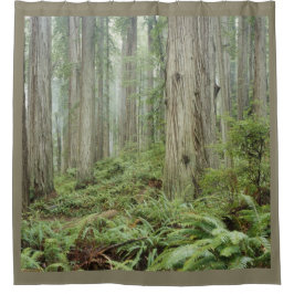 HET BOSTER DOUCHEGORDIJN