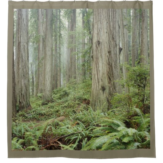 HET BOSTER DOUCHEGORDIJN (Voorkant)