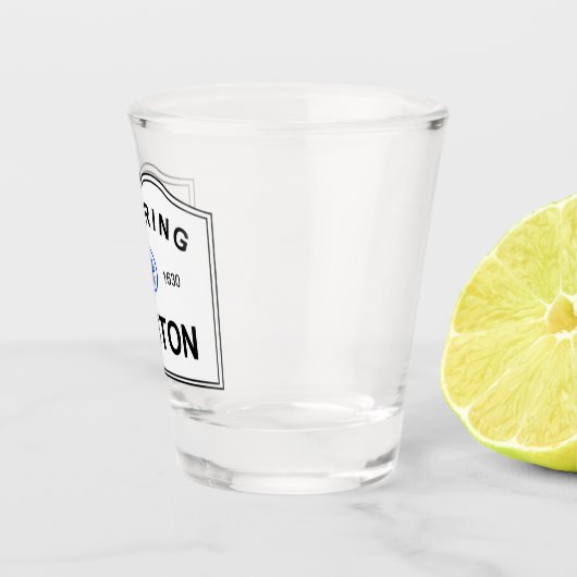 Het Boston Sign Shot Glas (Rechts)